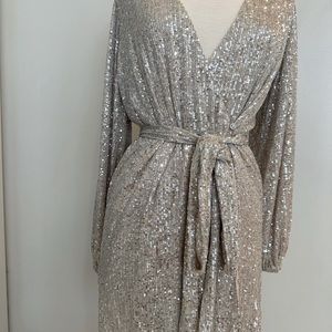 NWT 12th Tribe sequined dress, champagne color